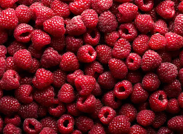 Framboises lyophilisées : Une nouvelle option d'en-cas savoureux