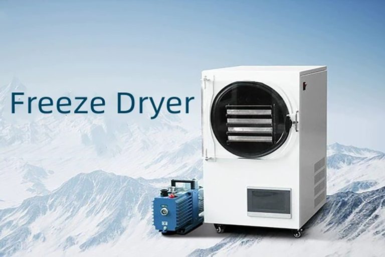 How to DIY a Freeze Dryer