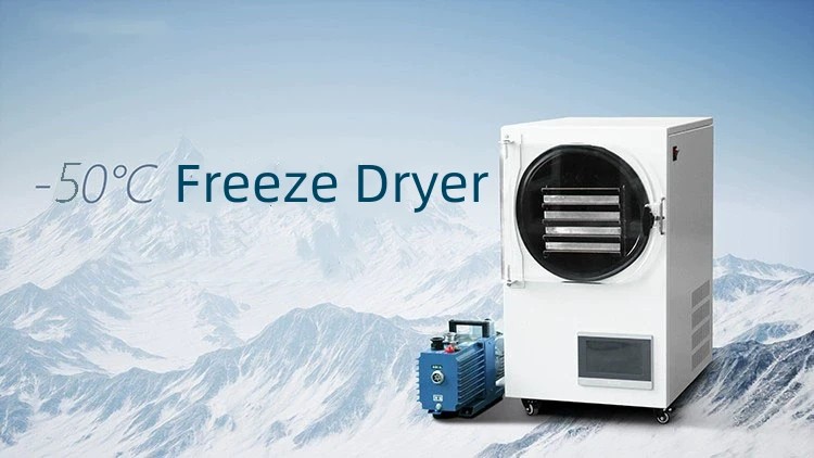 Freeze Dry Food Machine: Making Freeze-Dried Delicacies at Home is No Longer a Dream