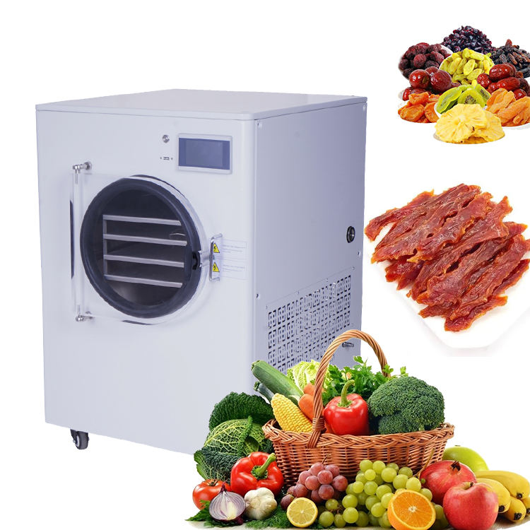 What is a Freezer Dryer Used For? Understanding Various Applications of Freeze Dryers