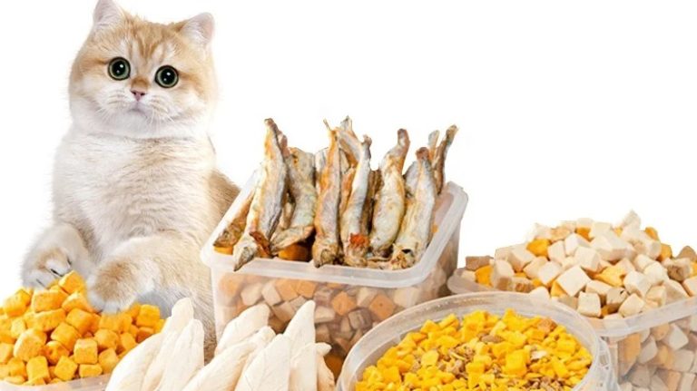 Freeze Dry Maker: Pet Food: Μια νέα τάση στη βιομηχανία τροφών για κατοικίδια ζώα